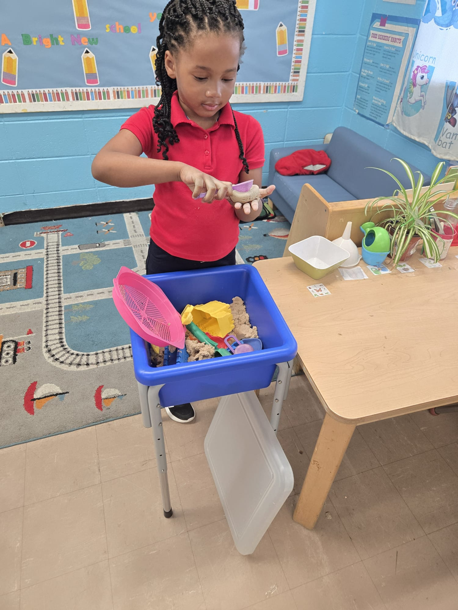 Rising Stars Willingboro Daycare Preschool Curriculum 