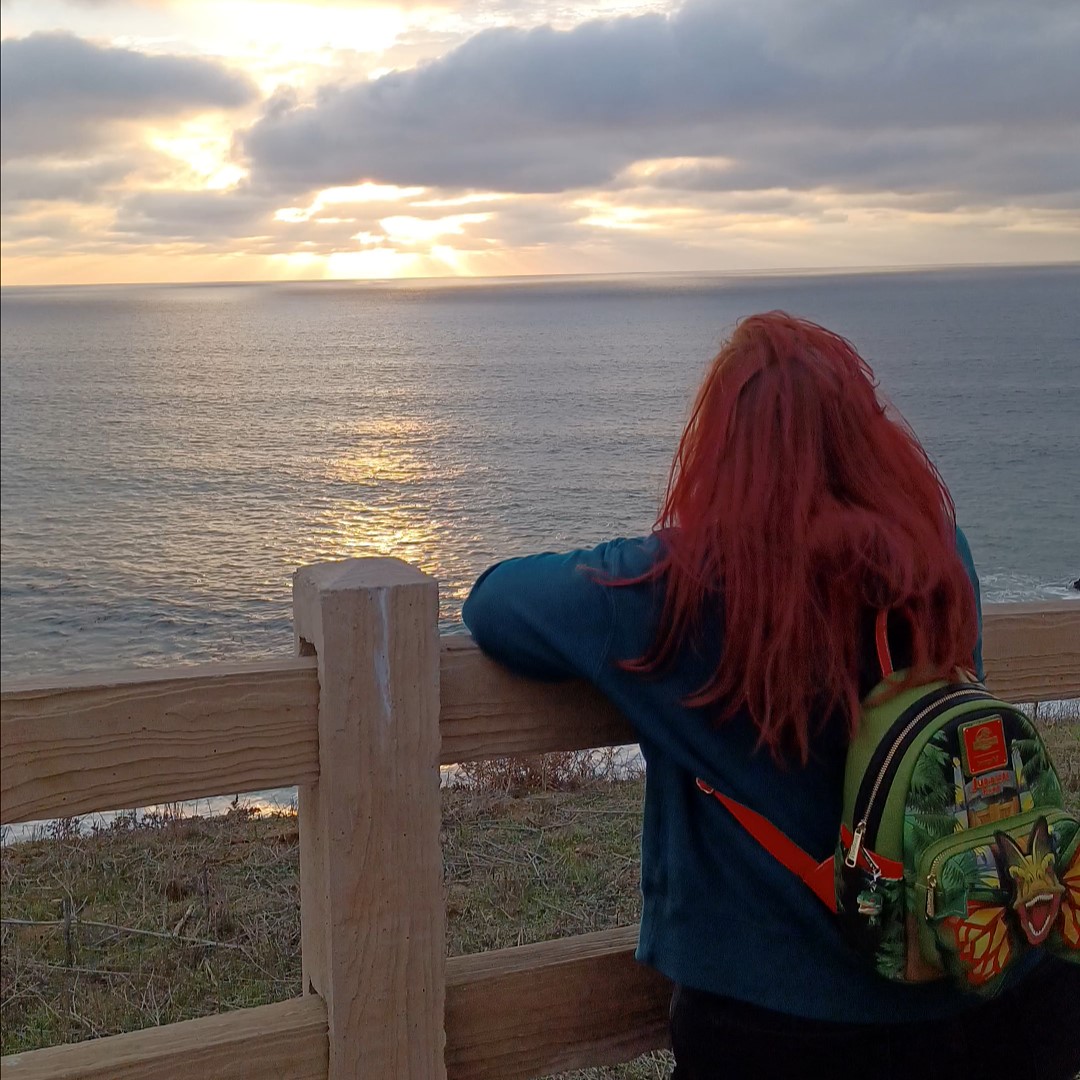 Picture of the owner watching the sunset over the pacific ocean