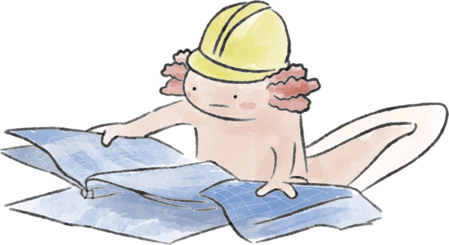 Bincho, the axolotl, in a hard hat poring over blueprints