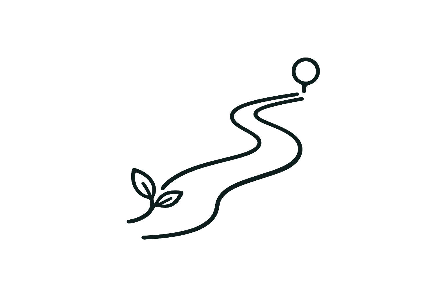 Ayahuasca Guadalajara - 27 años experiencia