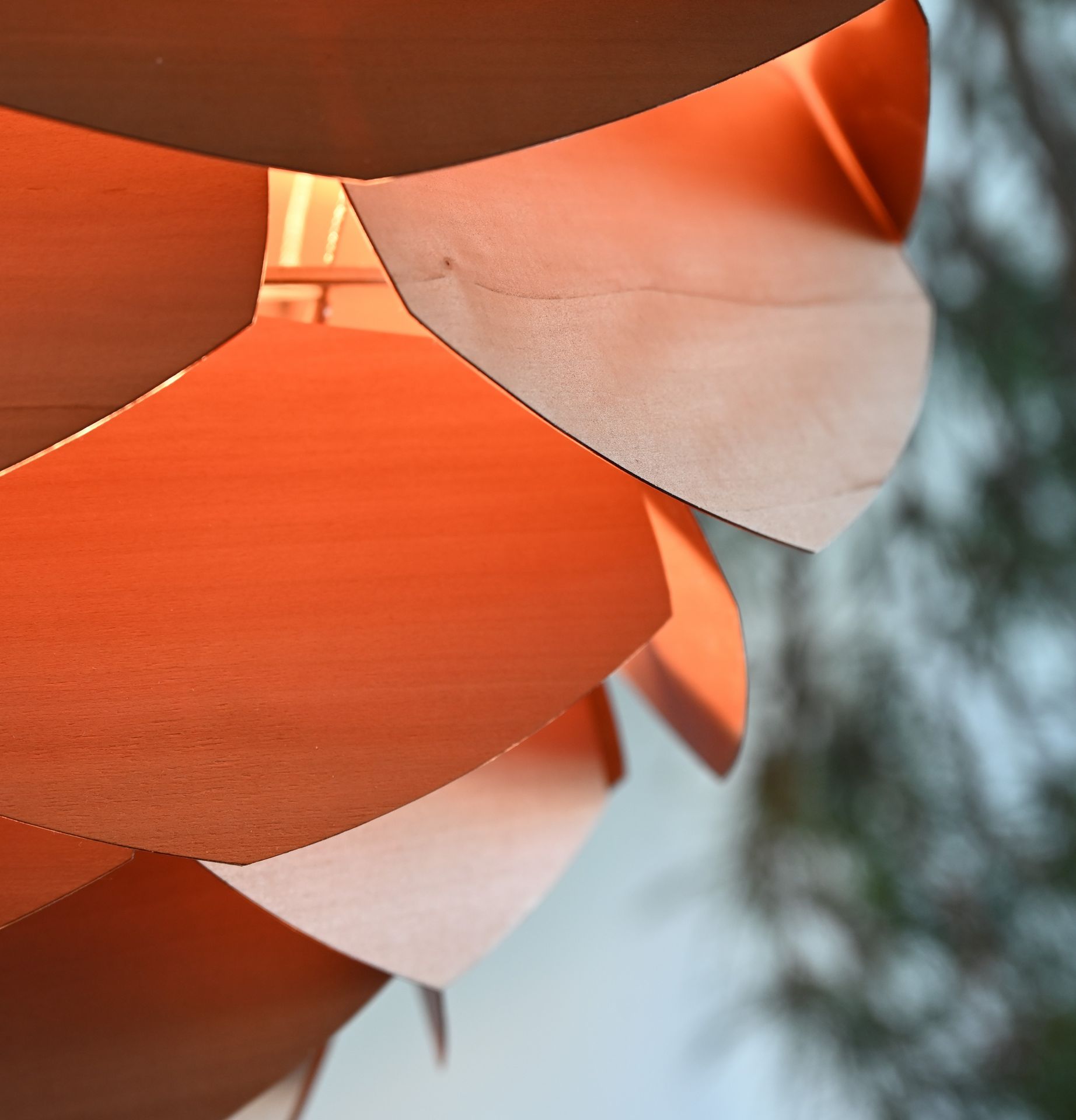 Pine Cone Lamp Close Up On