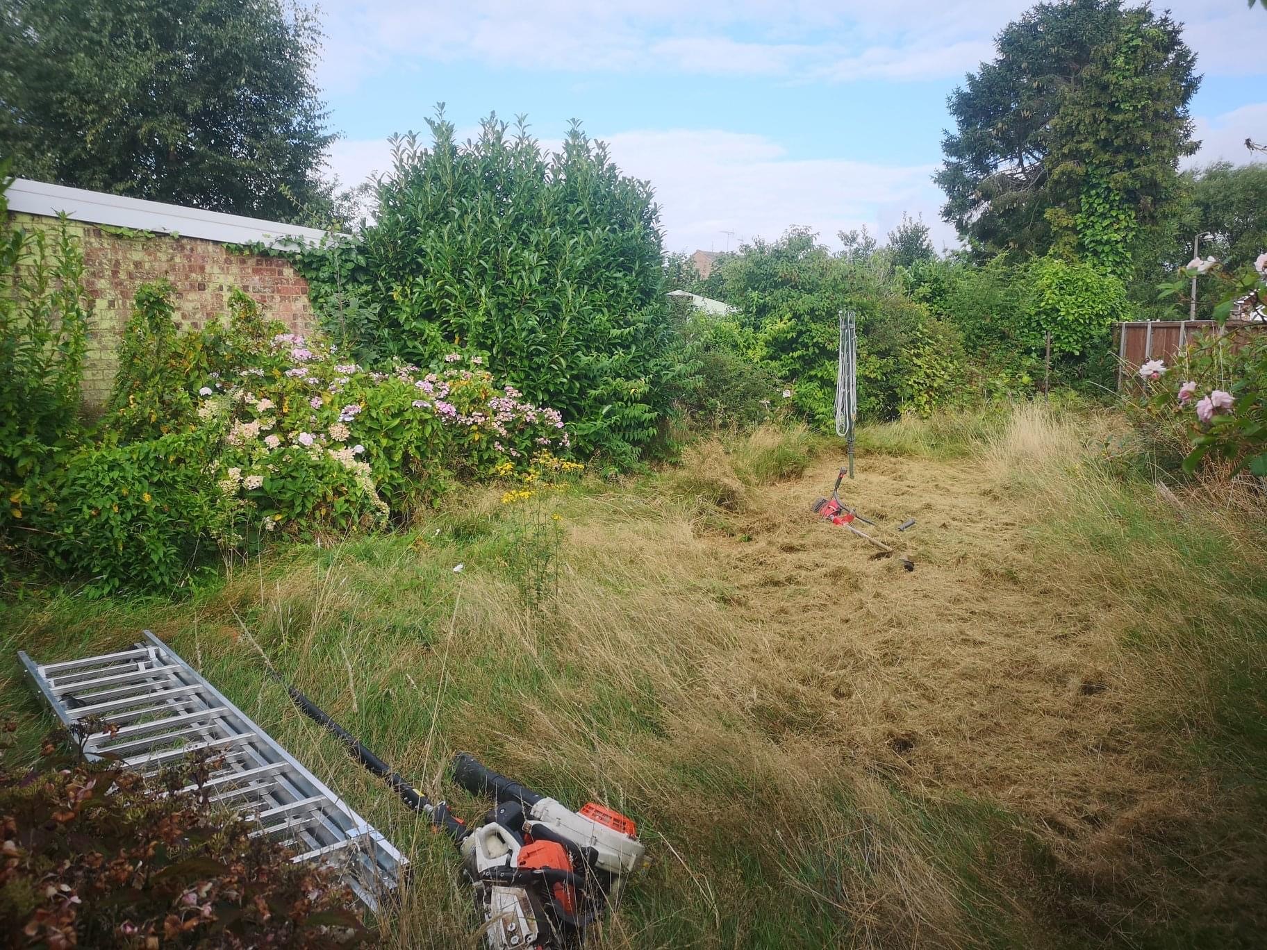 A garden which needs clearing