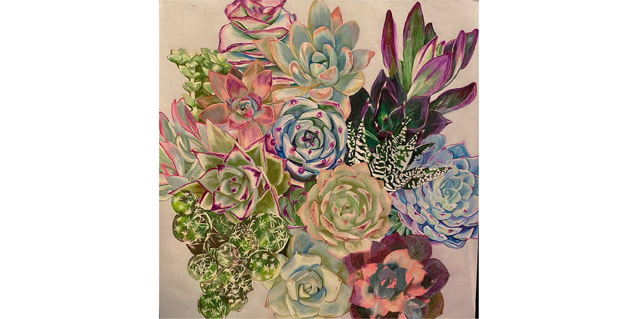 Succulents