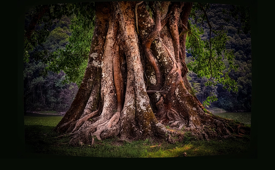 Financial Security and Strength