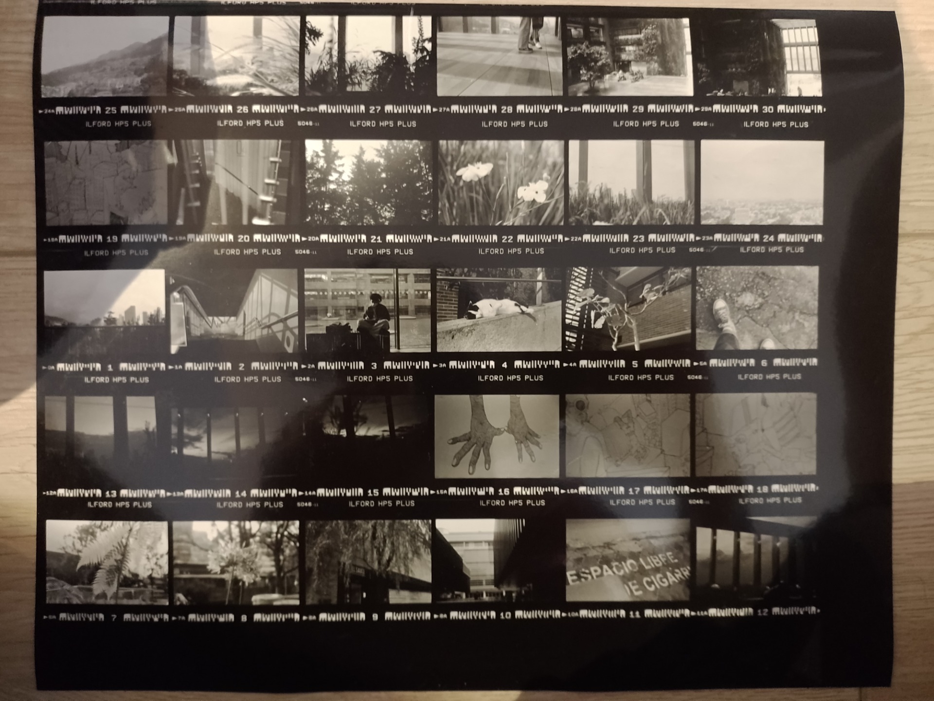 Proyectos de fotografía
