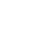 Icon Vertriebspartner – Chiptuning Fileservice für Werkstätten