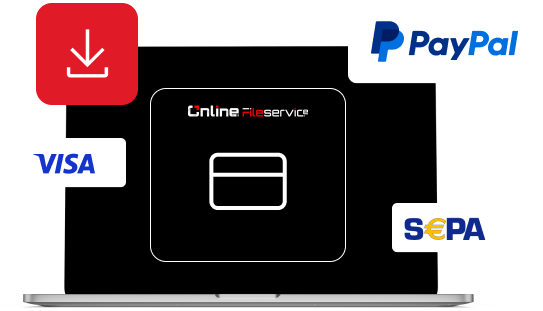 Symbol für Datei-Download nach Zahlung – AdBlue, Vmax, DPF &amp; Fehlercode