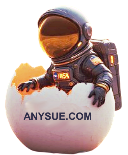 anysue.com logo