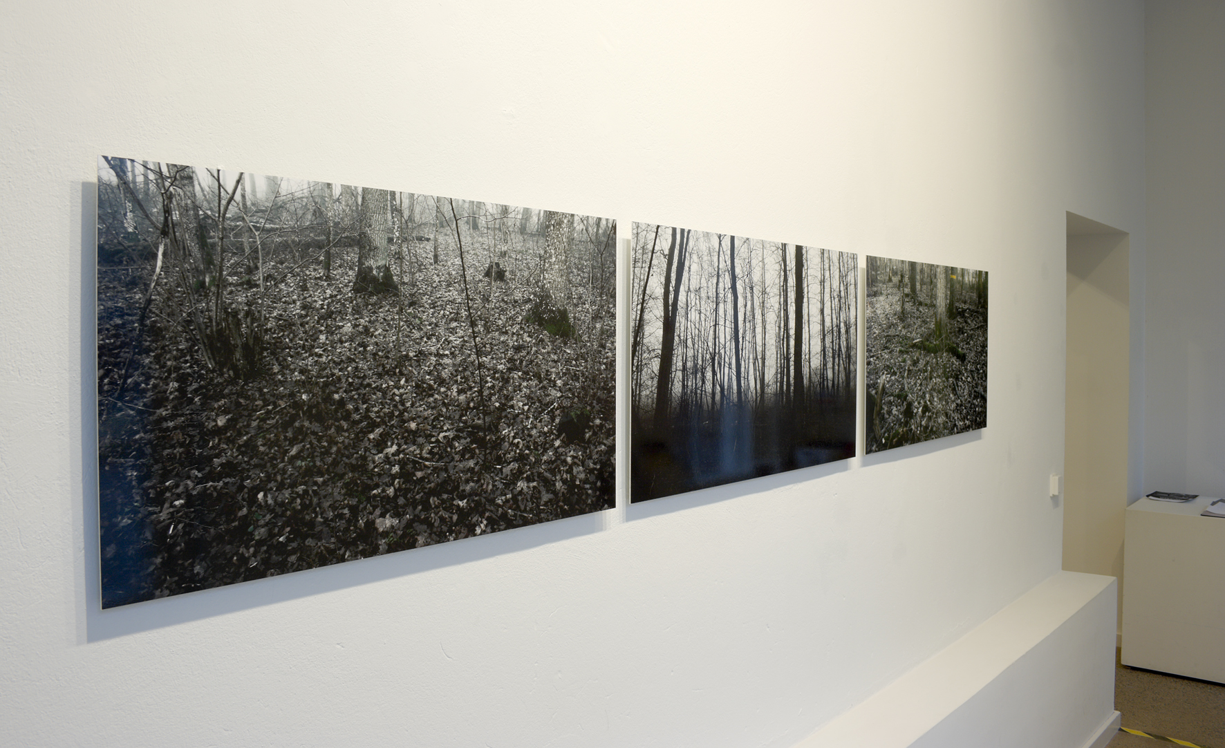 2009  “ 3 ”,  Gallery Elverket,  Ekenäs, Finland