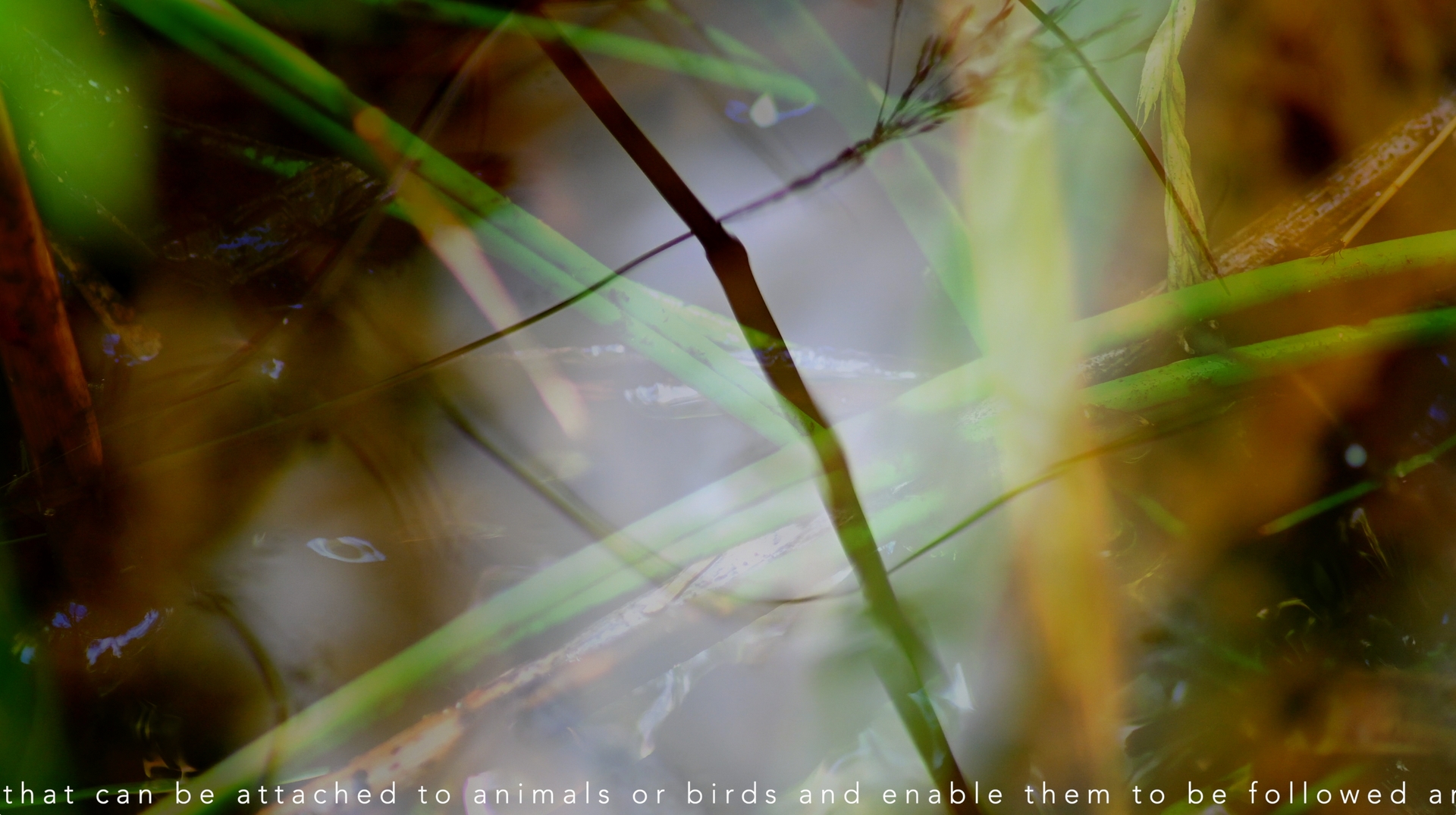 Still image from Tech Nature