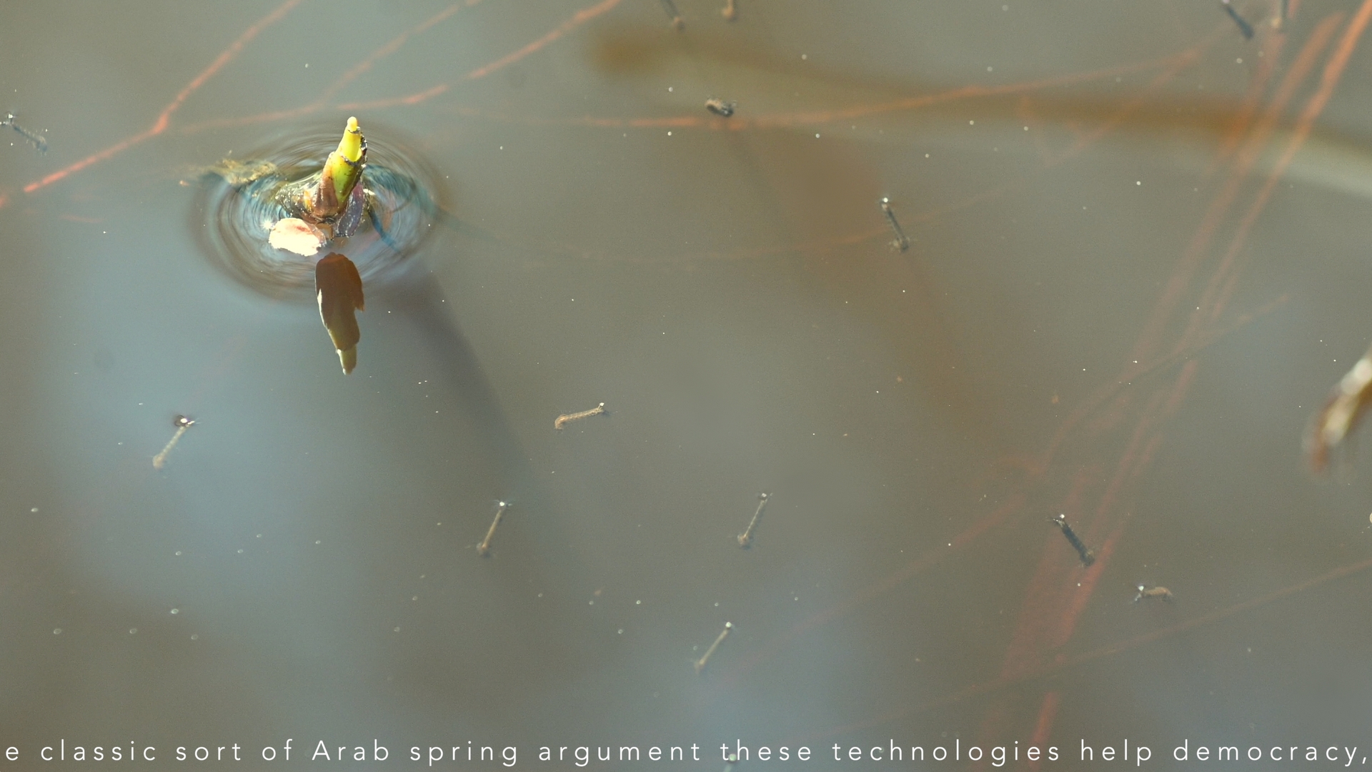 Still image from Tech Nature