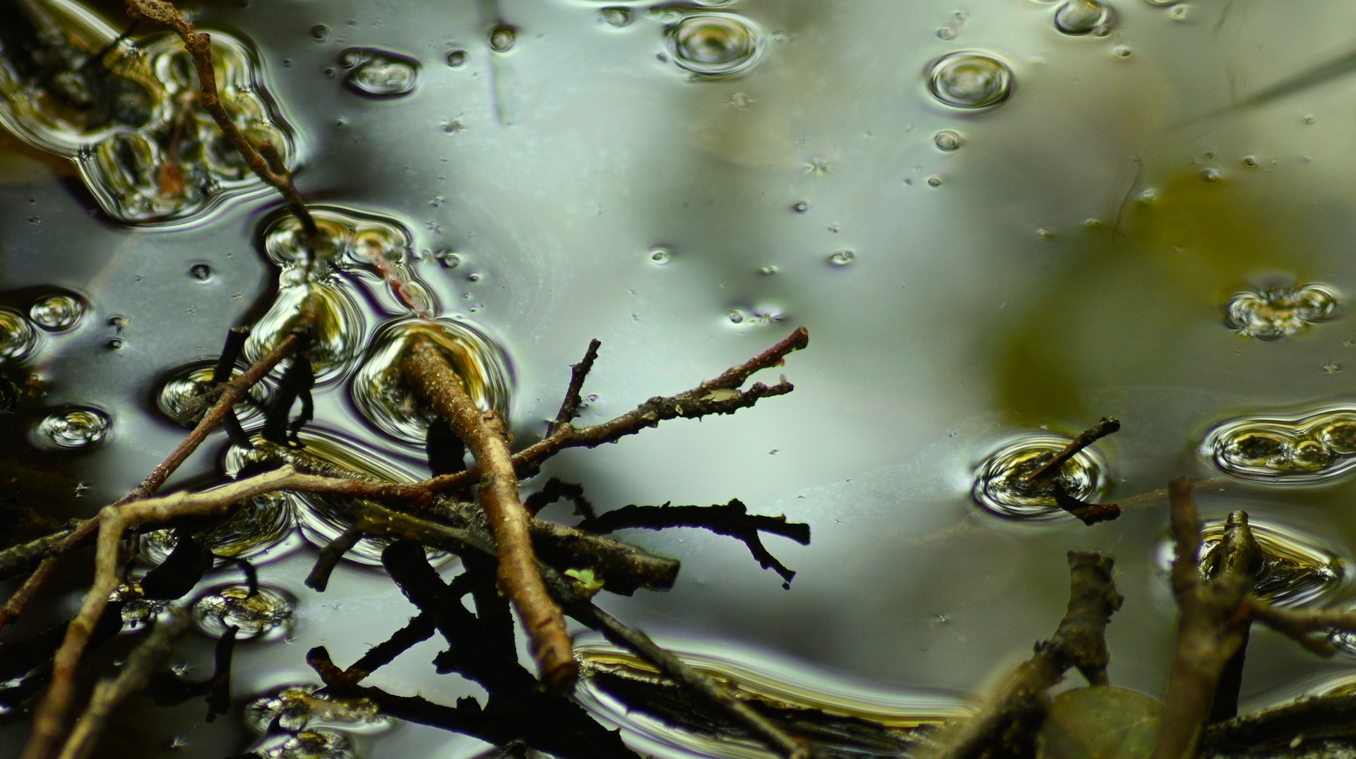 Still image from Tech Nature