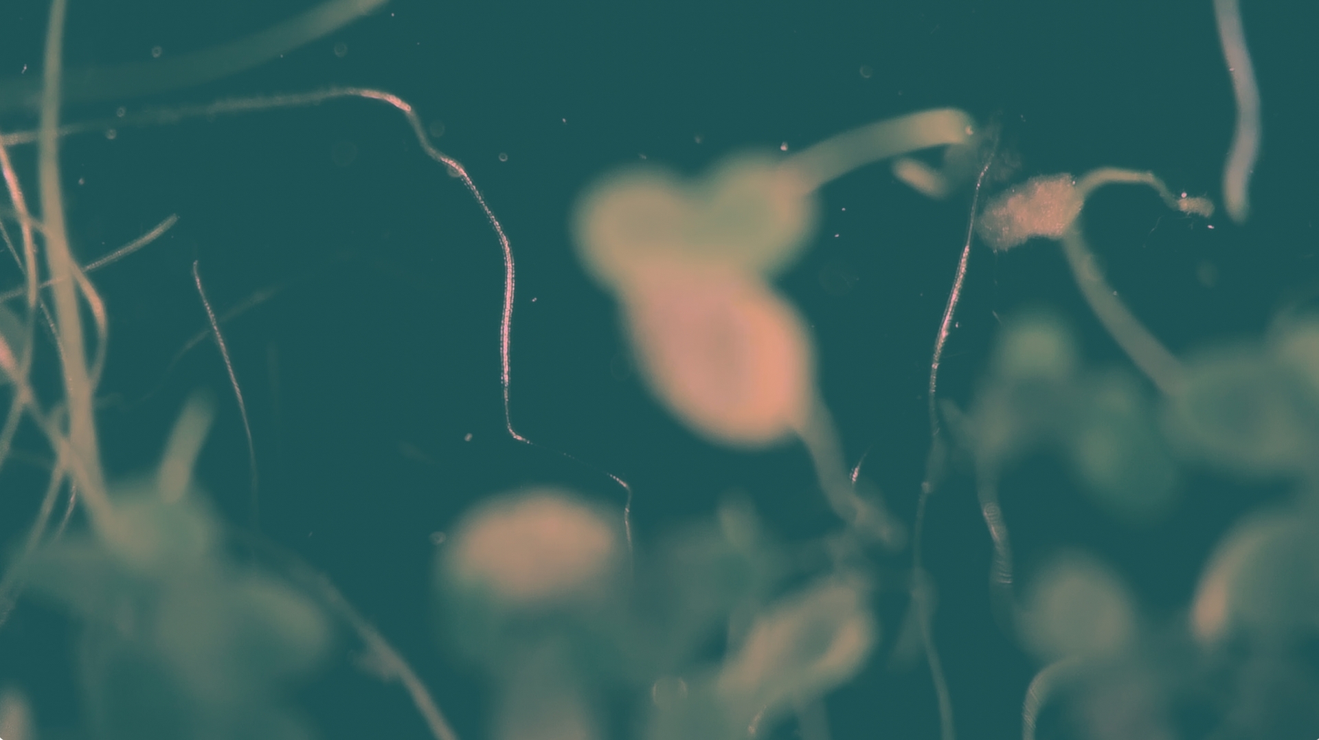 Still image from Tech Nature