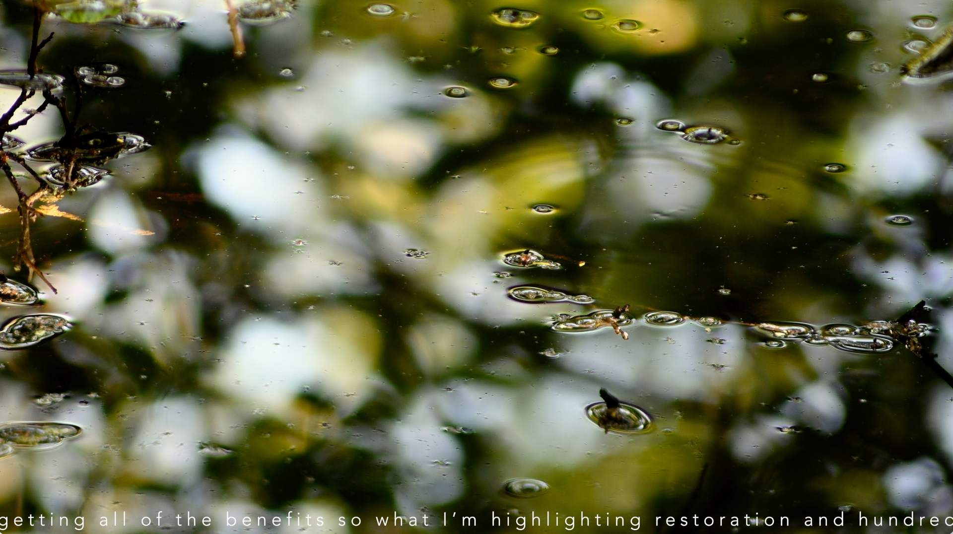 Still image from Tech Nature
