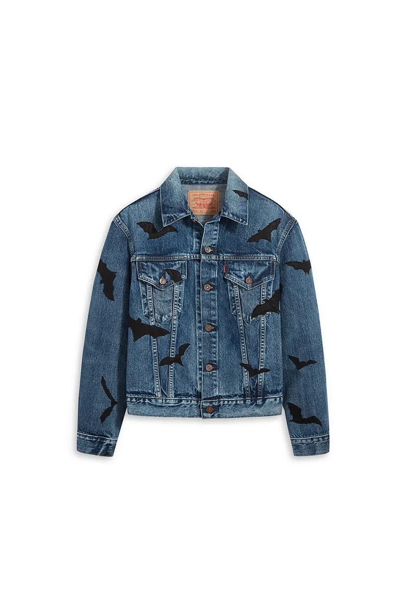Jean jaket