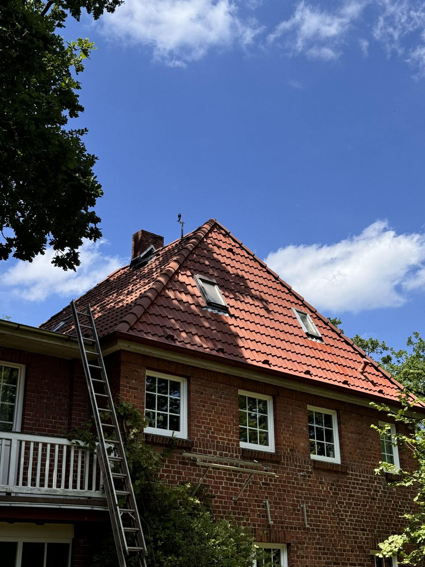 Porentiefe Dachreinigung Doppelgeschoss Stadtvilla Walmdach