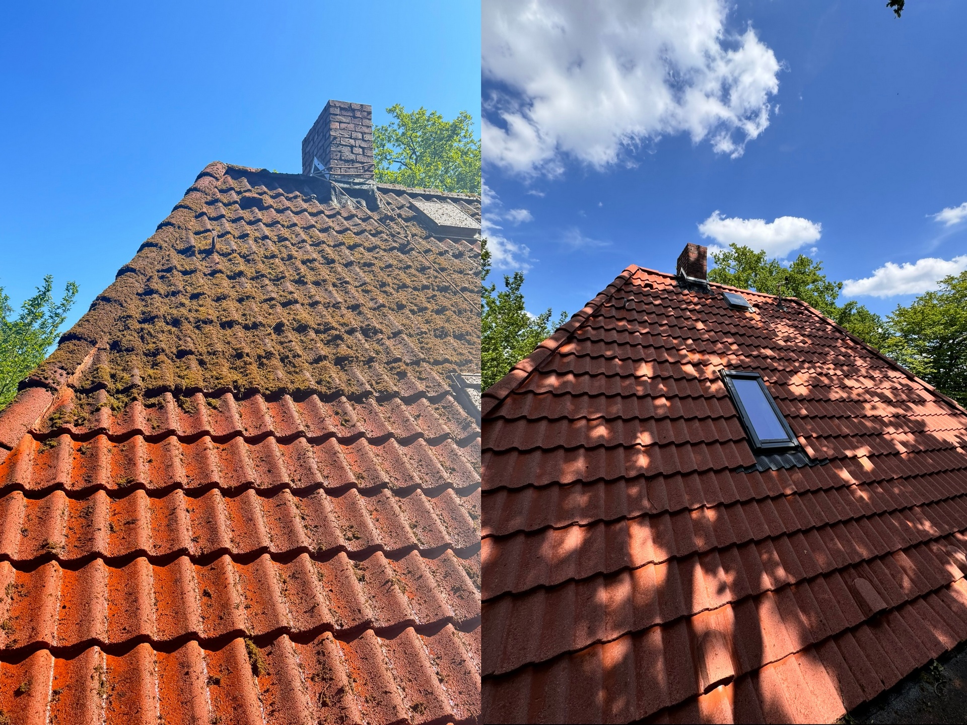 Dachreinigung Vorher/Nachher Moos