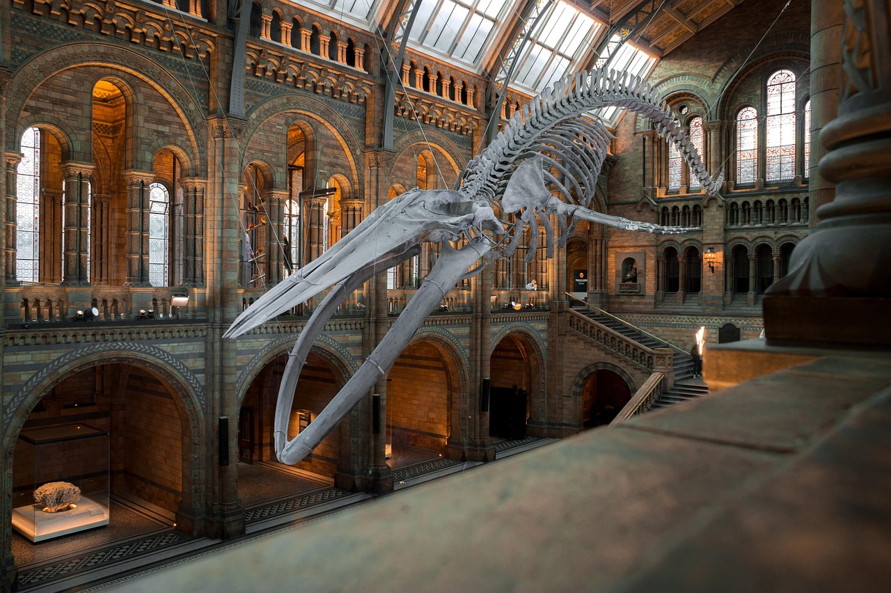 A Day in the Life of a Museum Warder
