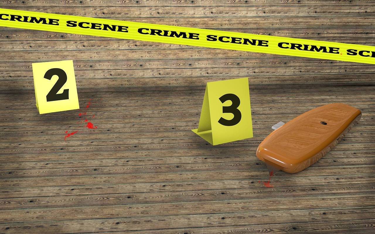 A Day in the Life of a Forensic Scene Investigator