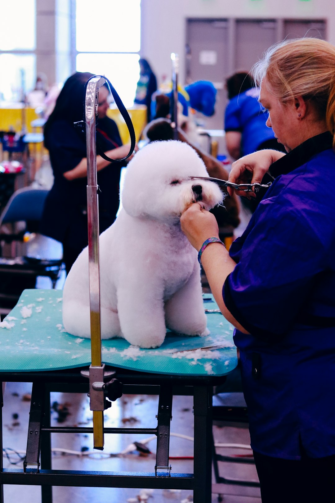 A Day in the Life of a Dog Groomer