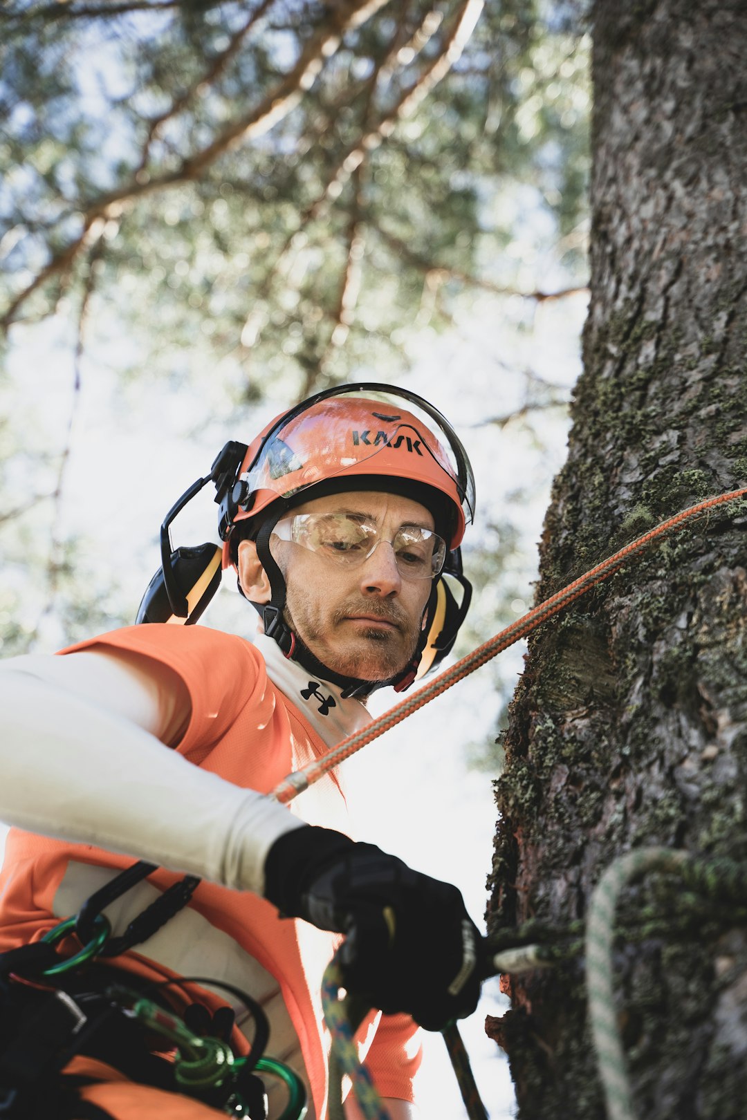 The Complete Workwear Guide for Arborists and Tree Surgeons 