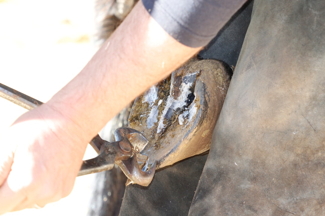 A Day in the Life of a Farrier