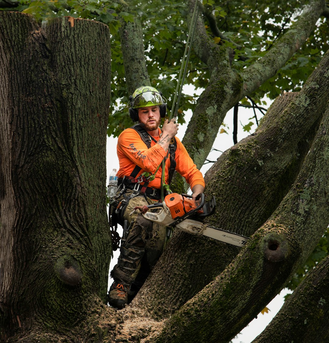 Workwear for Tree Surgeons