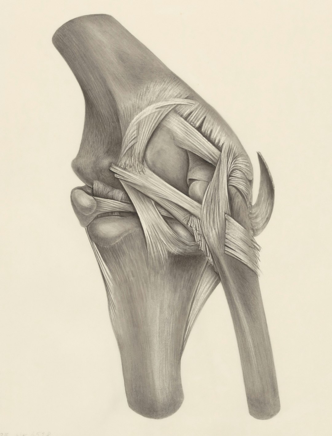 Why Your Knees Are Wrecked at 40