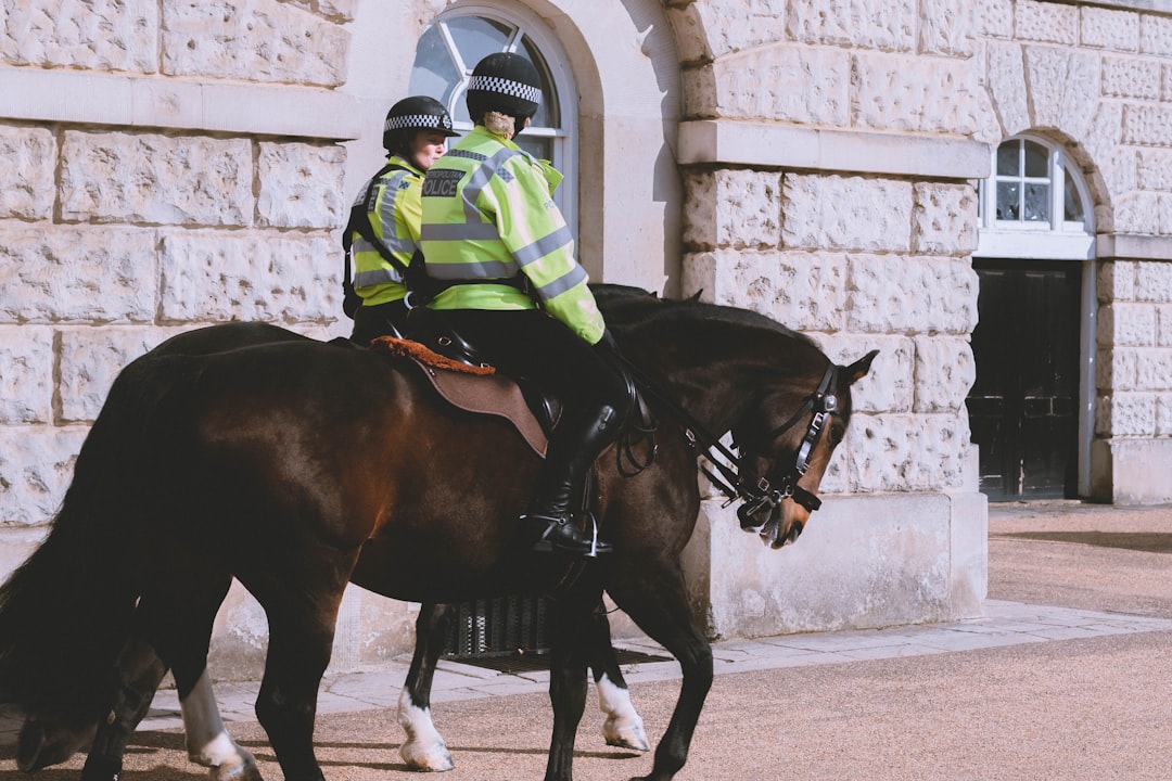 A Day in the Life of a Mounted Police Officer