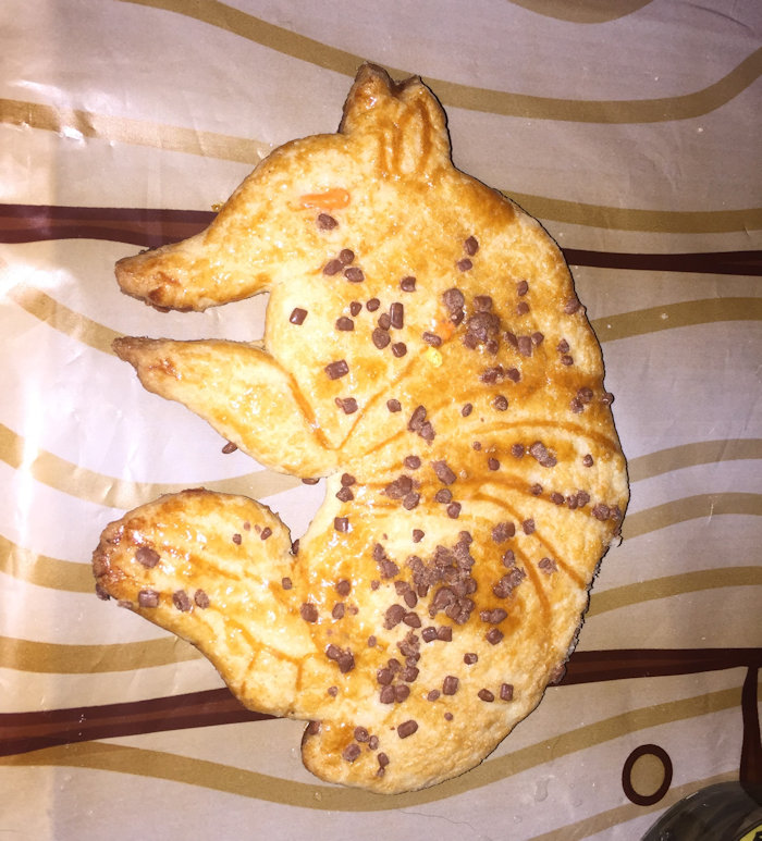 Armadillo Cookies