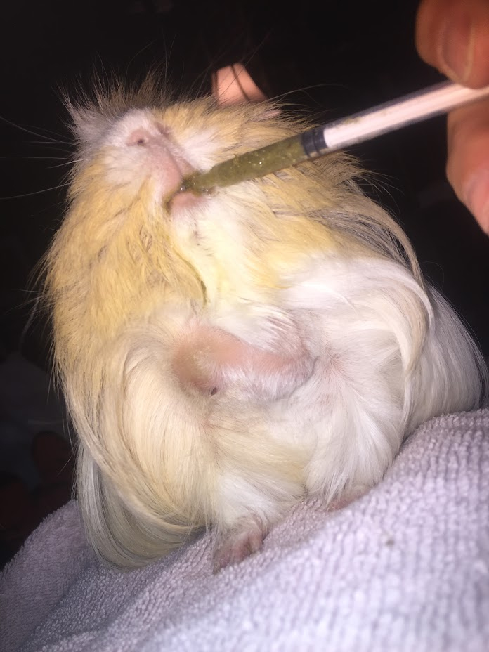 Sally got sick