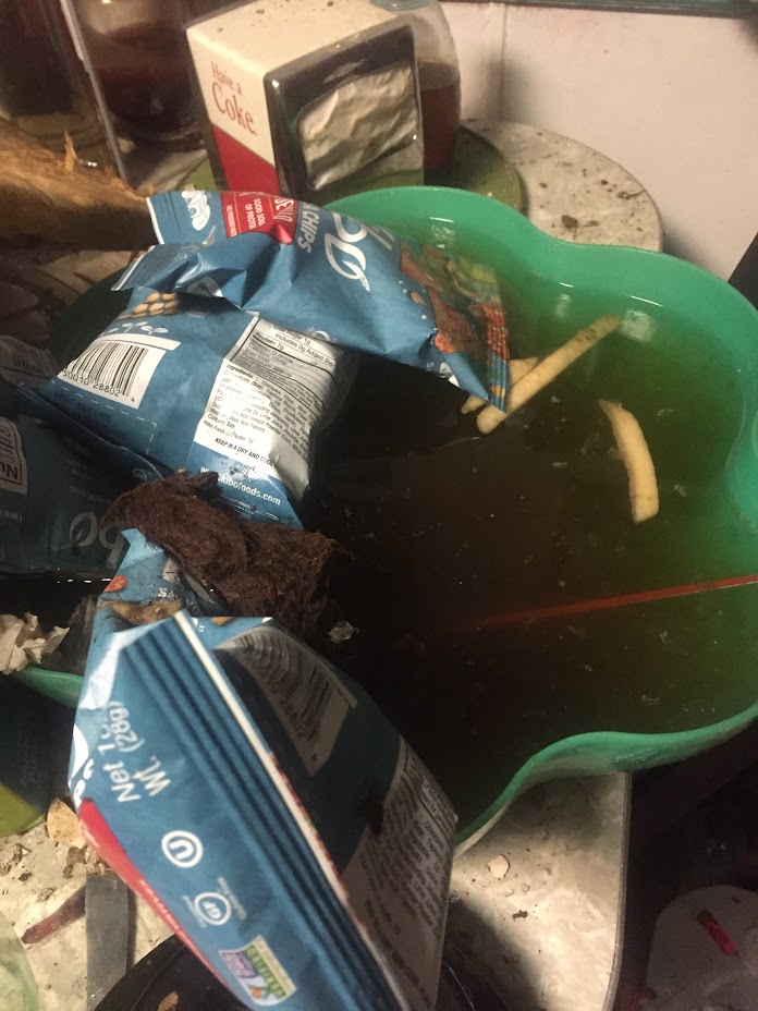 Lots of poo water
