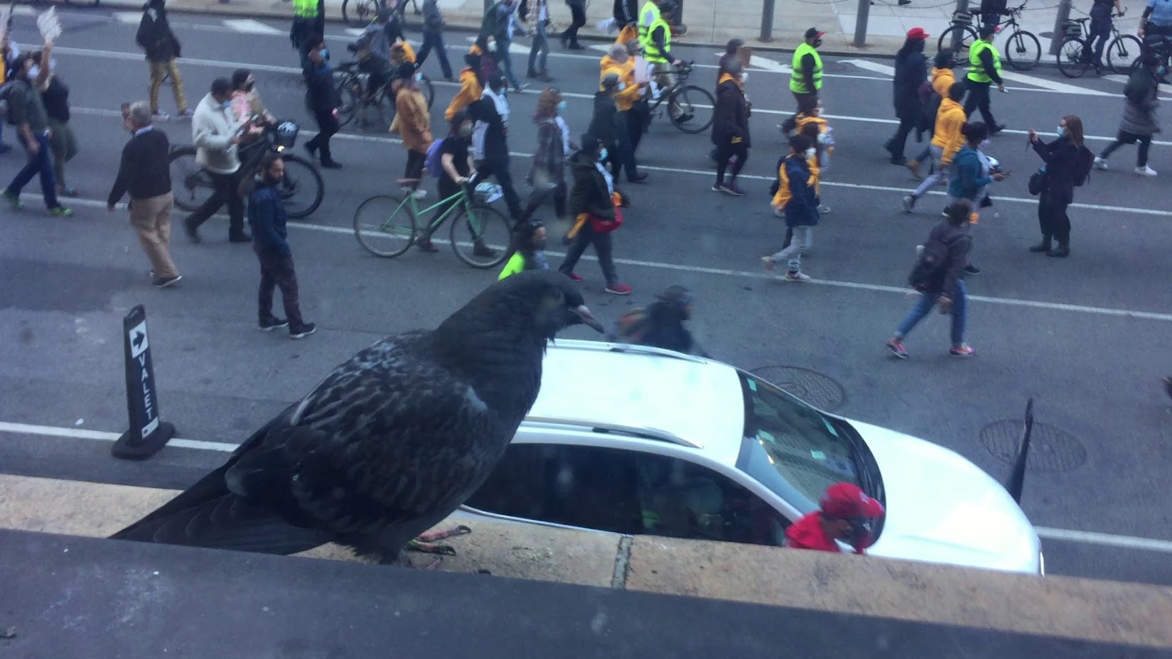 Protests started again