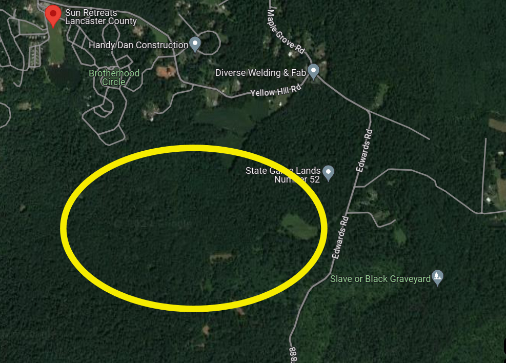 Tom, Tom and Pete got lost in these woods