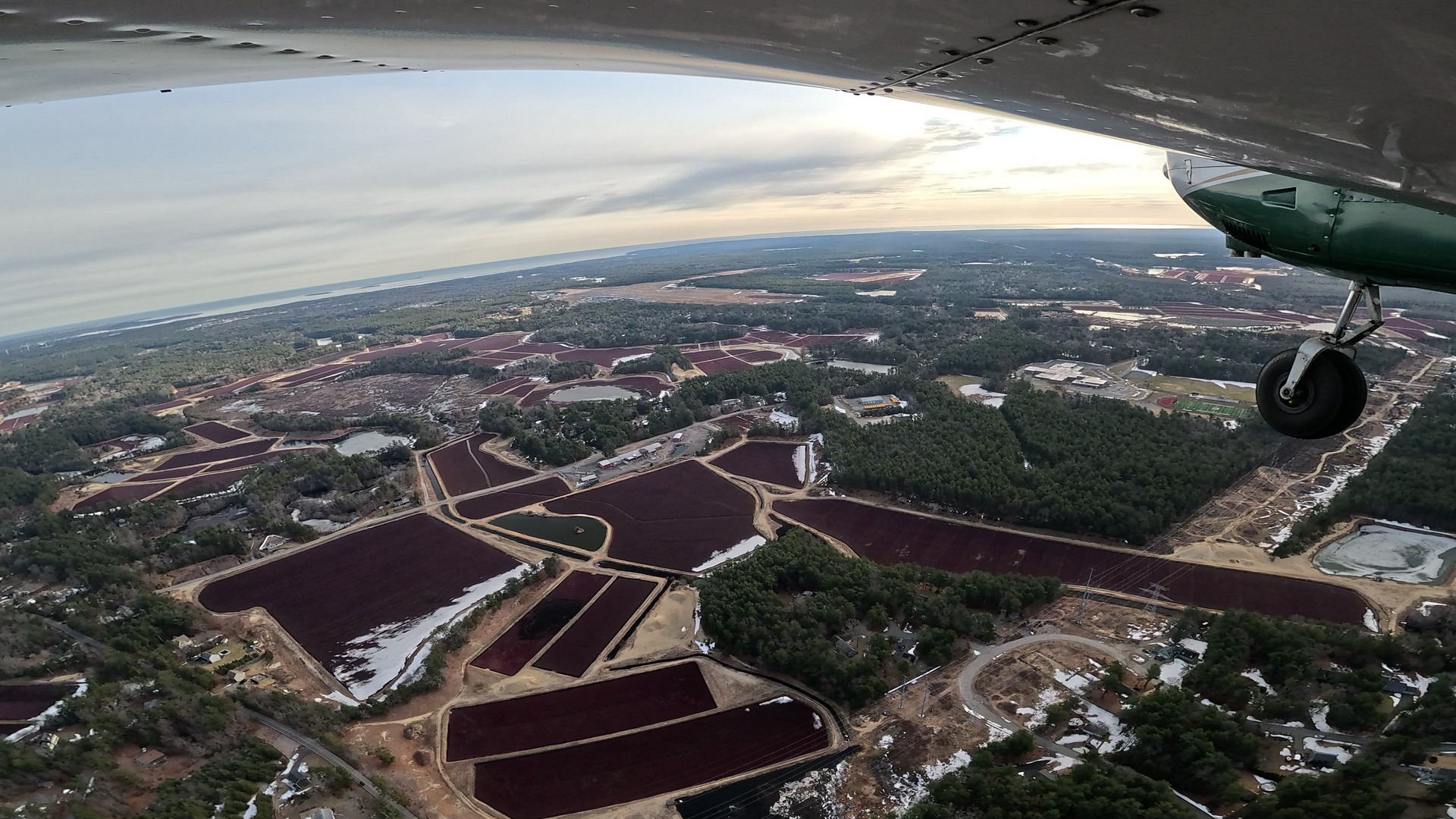 Piper Flying over Cranberry Bogs, Plymoth MA