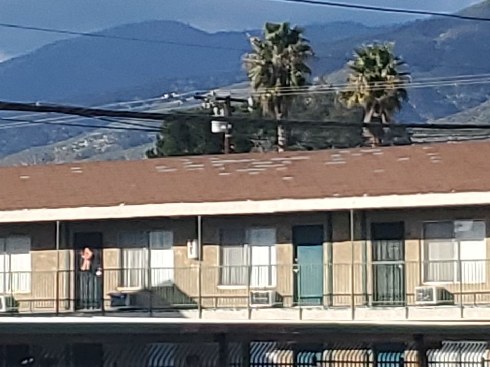 Roof inspection showing wind damage to asphalt shingles