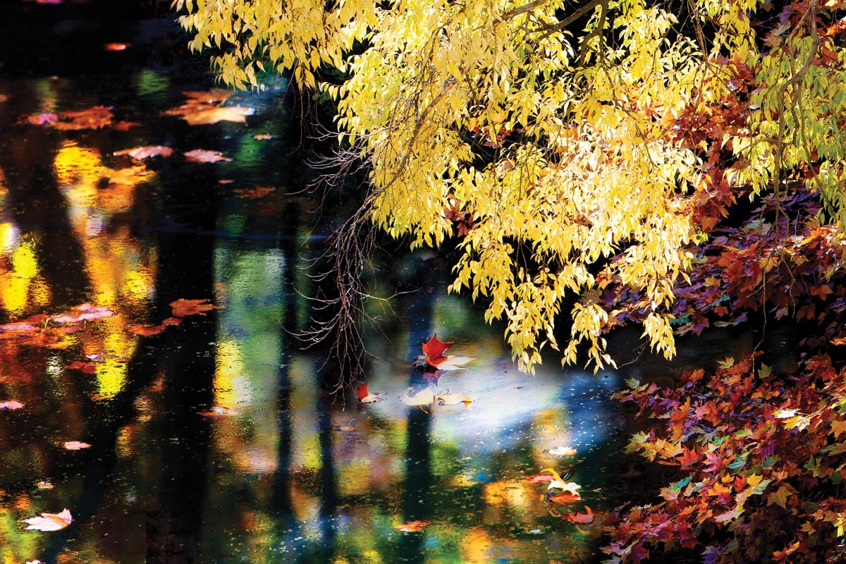 7	Autumn at the Chateau