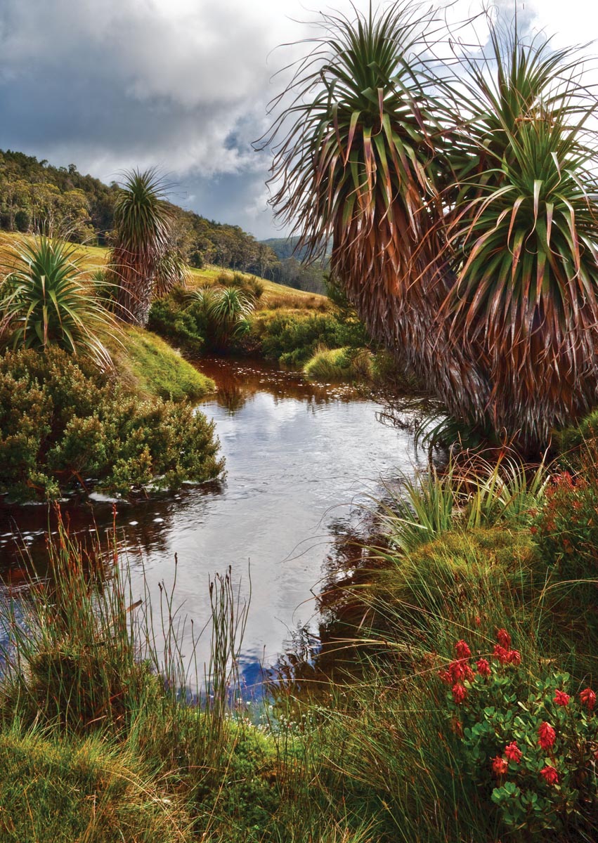 26	Cradle Valley