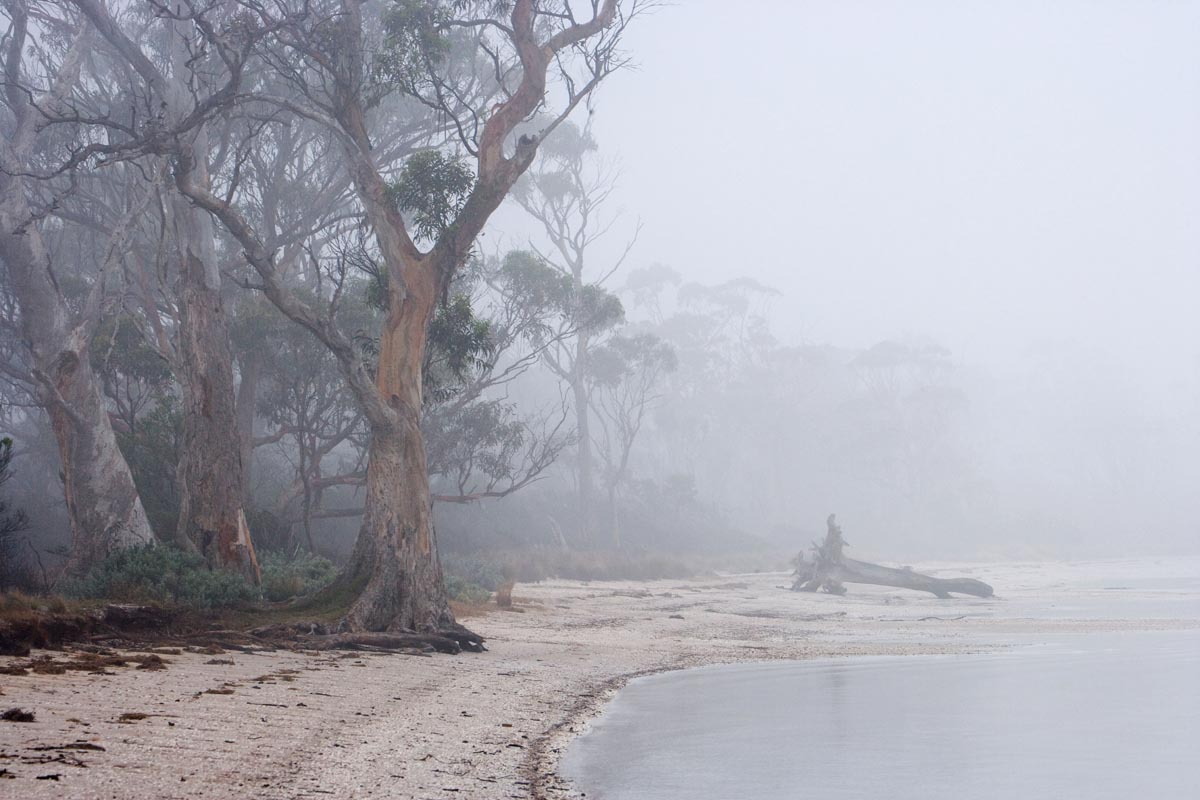 43	Gorringes Beach