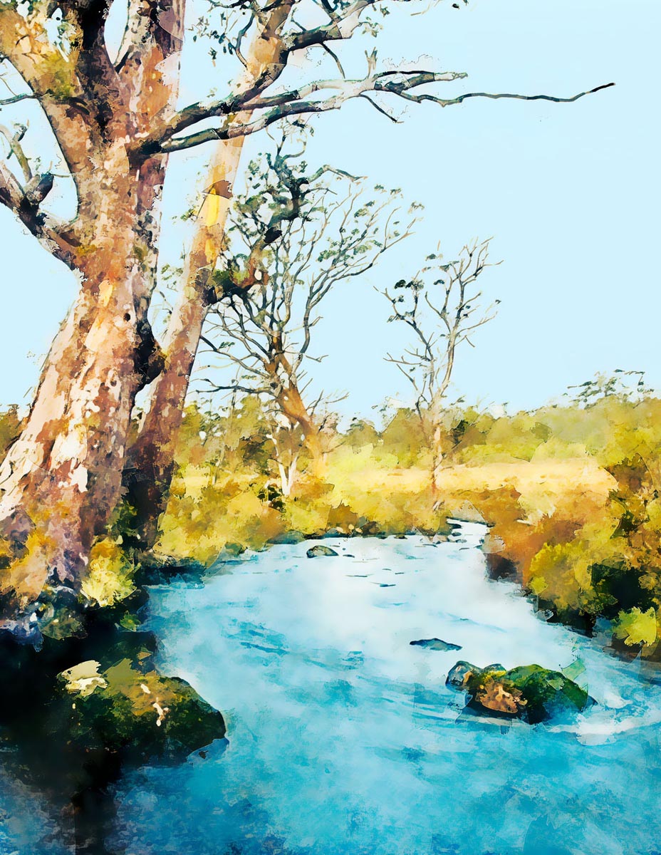 49	Iris Creek