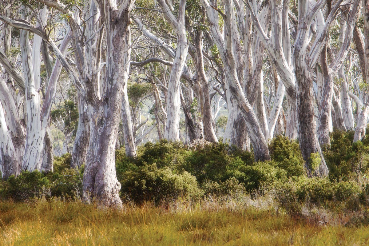 67	Navarre Plains