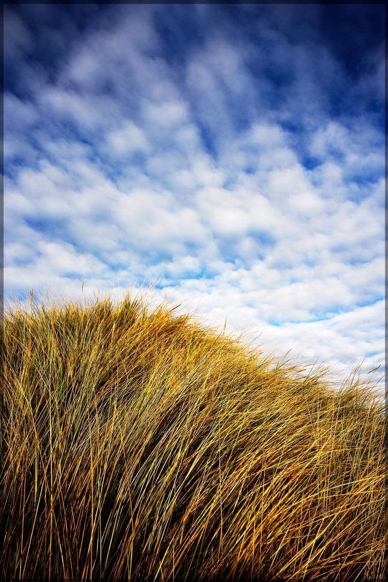 78	Peron Dunes