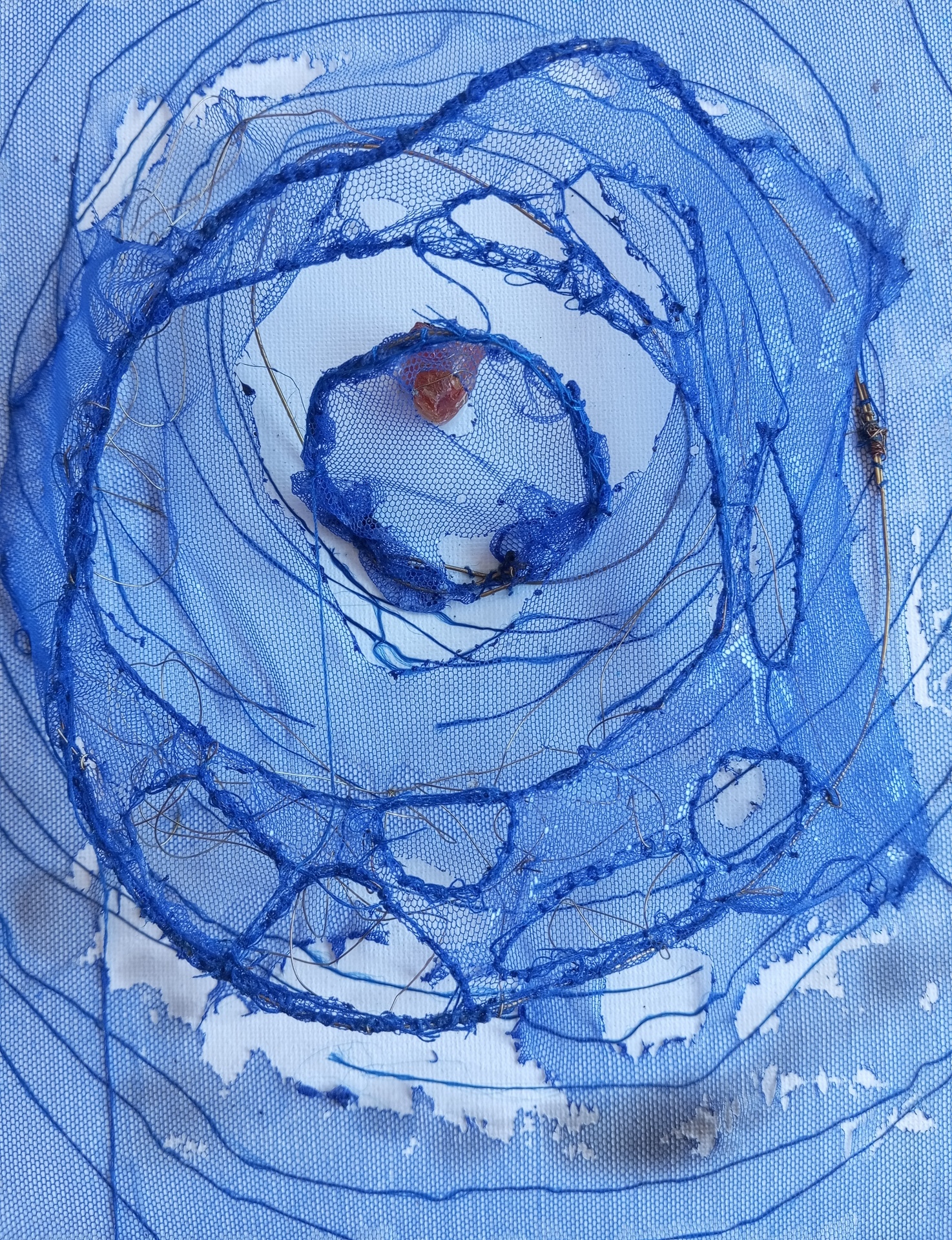 Nid Bleu