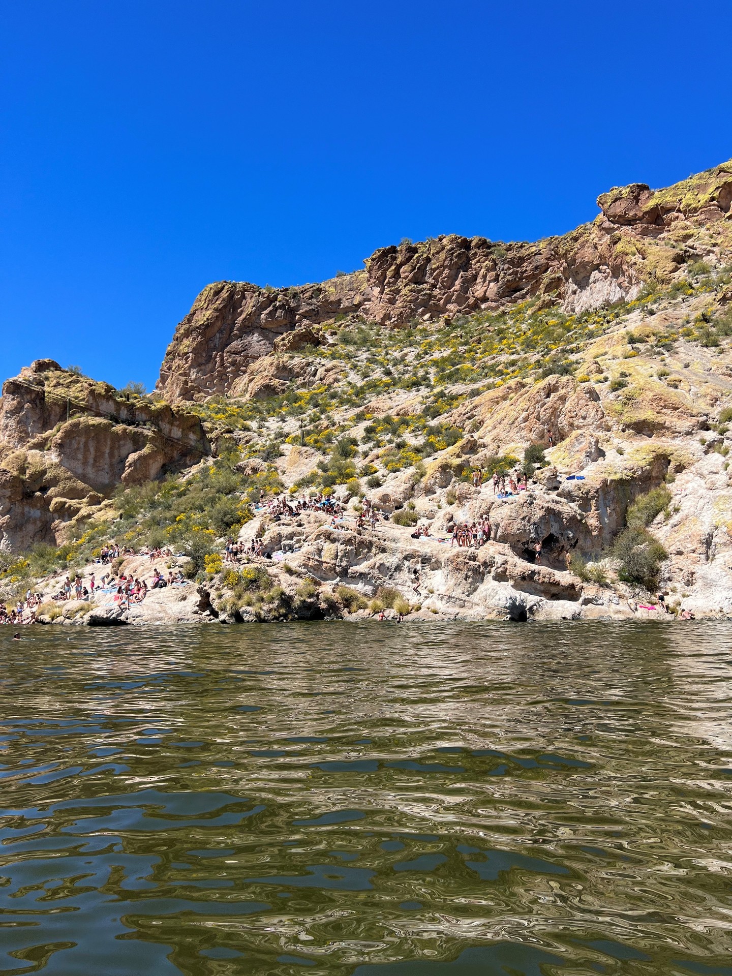 boat rental cliff diving