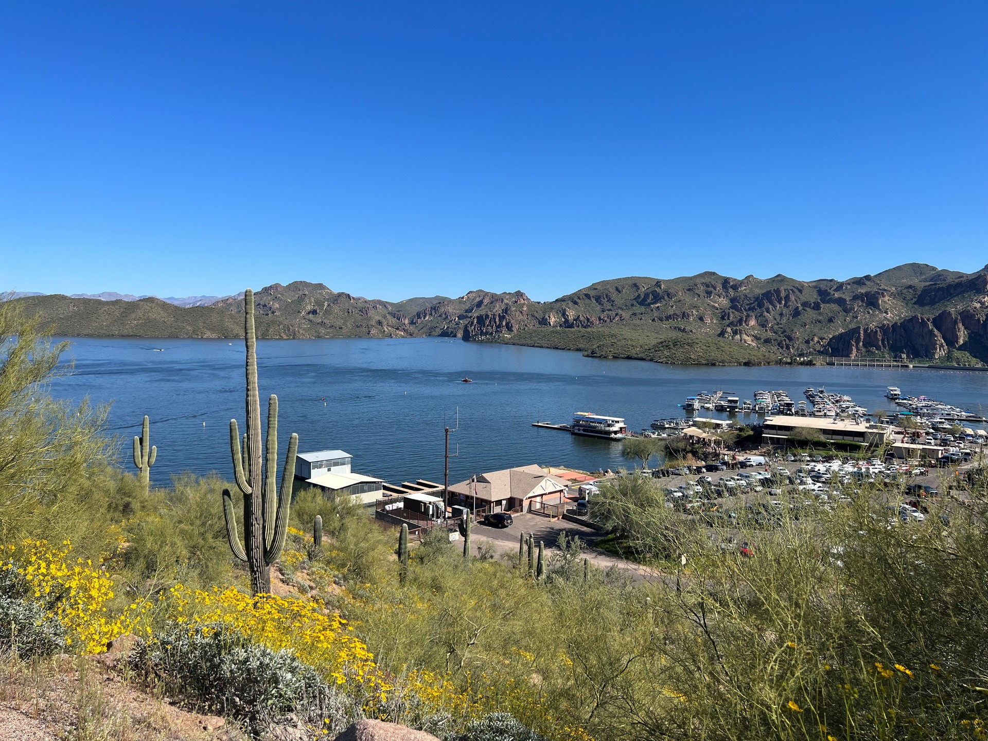 surfboat rental phoenix