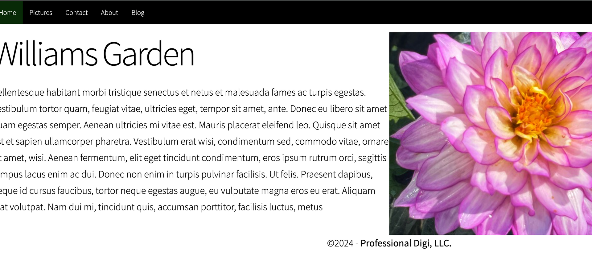 Garden Blog Template