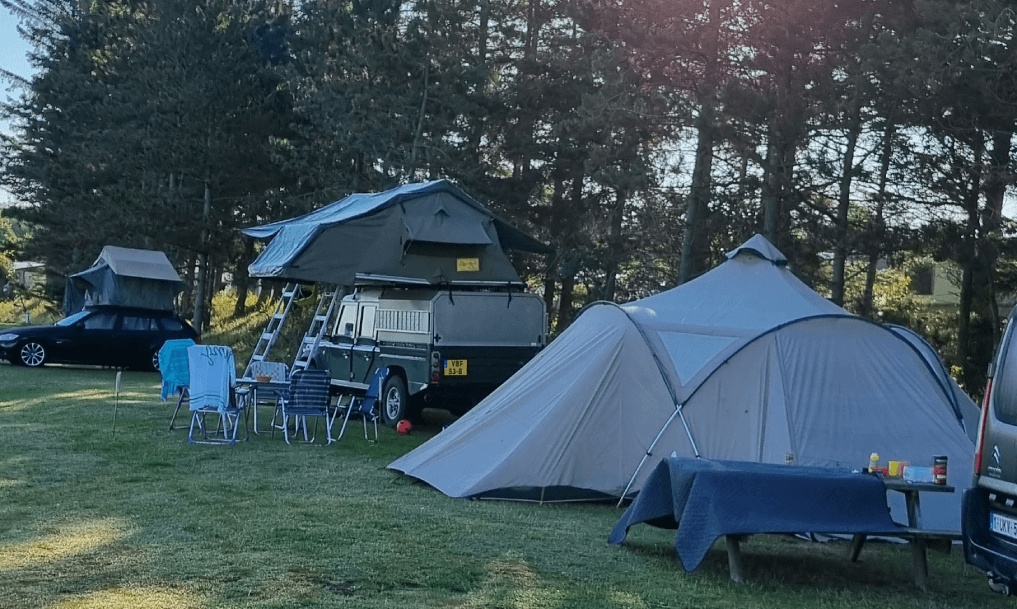 Teltplads ved Limfjorden