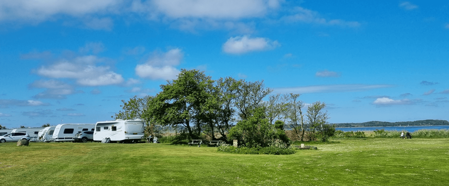 Natur ved Limfjorden
