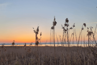 solnedgang ved stranden