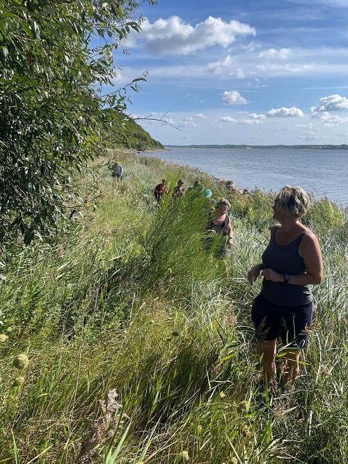 Naturruter i Vesthimmerland